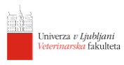 Univerza V Ljubljani